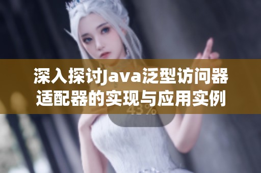 深入探讨Java泛型访问器适配器的实现与应用实例