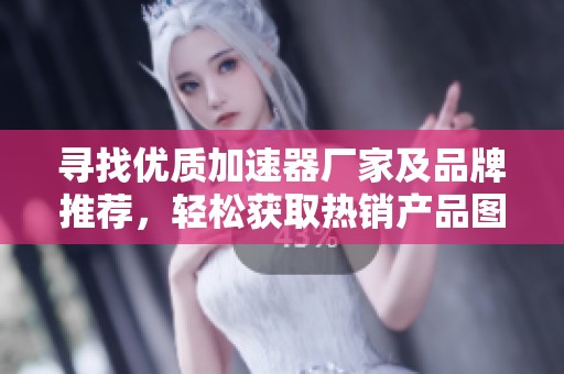 寻找优质加速器厂家及品牌推荐，轻松获取热销产品图片与信息
