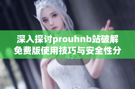 深入探讨prouhnb站破解免费版使用技巧与安全性分析