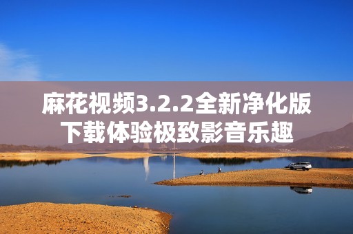 麻花视频3.2.2全新净化版下载体验极致影音乐趣