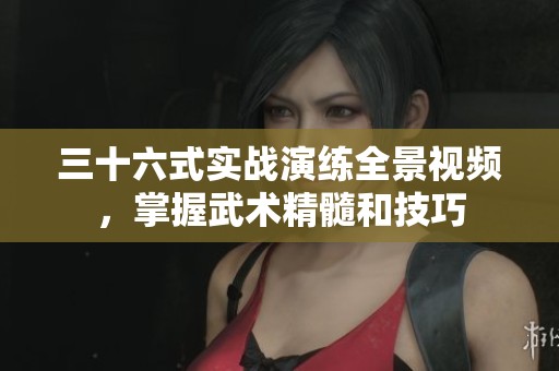 三十六式实战演练全景视频，掌握武术精髓和技巧