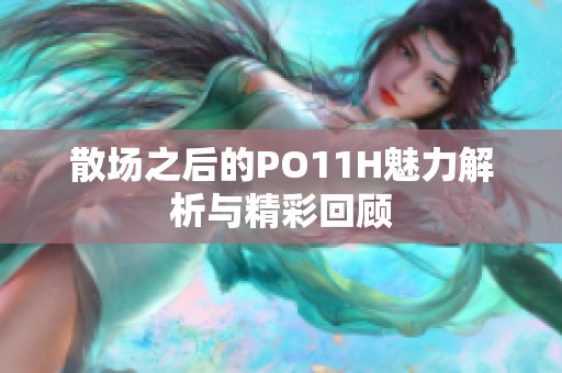 散场之后的PO11H魅力解析与精彩回顾