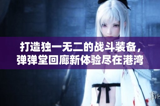 打造独一无二的战斗装备，弹弹堂回廊新体验尽在港湾游戏网