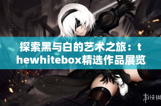 探索黑与白的艺术之旅：thewhitebox精选作品展览