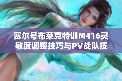 赛尔号布莱克特训M416灵敏度调整技巧与PV战队按键设置解析