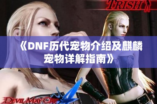 《DNF历代宠物介绍及麒麟宠物详解指南》