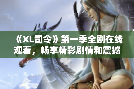 《XL司令》第一季全剧在线观看，畅享精彩剧情和震撼场面