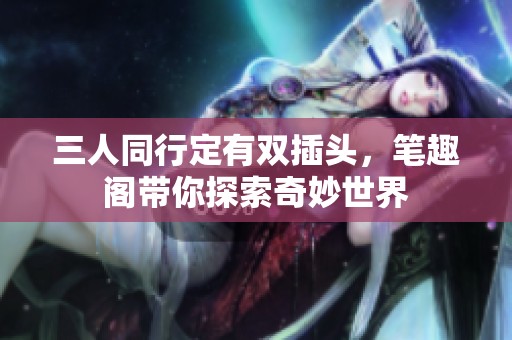 三人同行定有双插头，笔趣阁带你探索奇妙世界