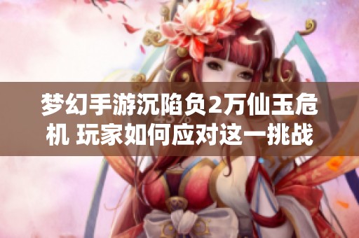 梦幻手游沉陷负2万仙玉危机 玩家如何应对这一挑战