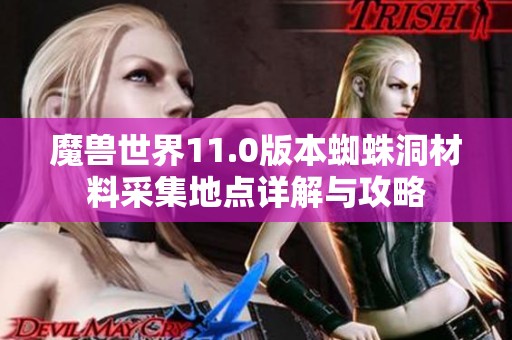 魔兽世界11.0版本蜘蛛洞材料采集地点详解与攻略