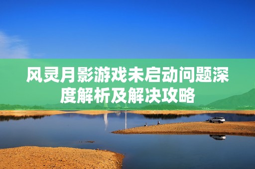 风灵月影游戏未启动问题深度解析及解决攻略