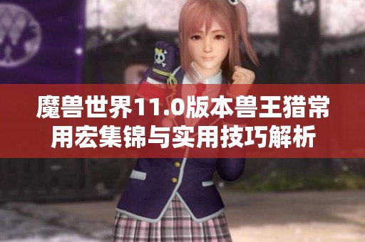 魔兽世界11.0版本兽王猎常用宏集锦与实用技巧解析
