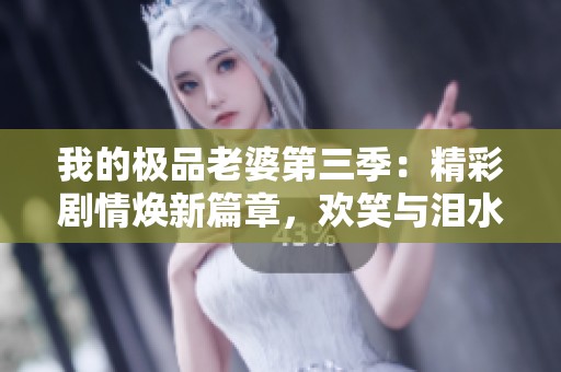 我的极品老婆第三季：精彩剧情焕新篇章，欢笑与泪水并存