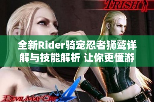 全新Rider骑宠忍者狮鹫详解与技能解析 让你更懂游戏角色