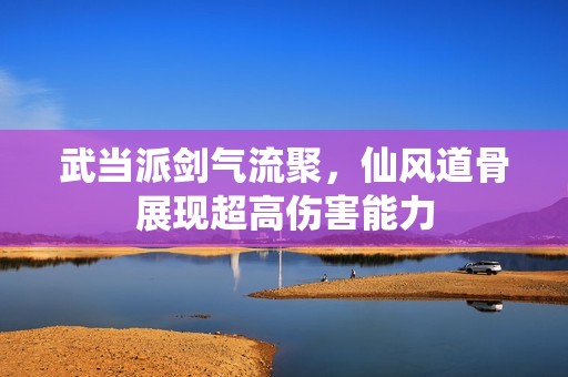 武当派剑气流聚，仙风道骨展现超高伤害能力