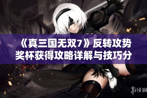 《真三国无双7》反转攻势奖杯获得攻略详解与技巧分享