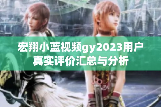宏翔小蓝视频gy2023用户真实评价汇总与分析