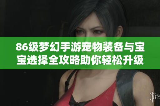 86级梦幻手游宠物装备与宝宝选择全攻略助你轻松升级与战斗胜利