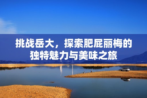 挑战岳大，探索肥屁丽梅的独特魅力与美味之旅