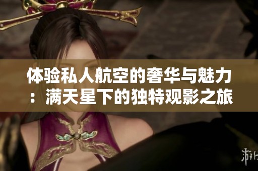 体验私人航空的奢华与魅力：满天星下的独特观影之旅