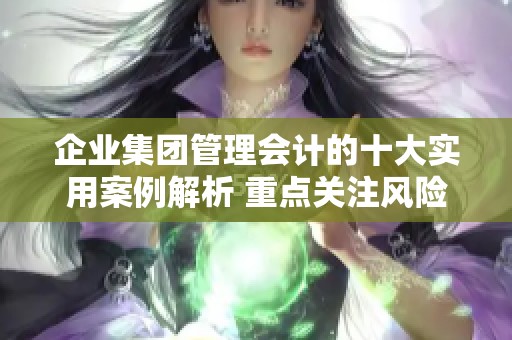企业集团管理会计的十大实用案例解析 重点关注风险管理与控制策略