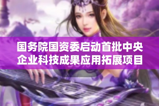国务院国资委启动首批中央企业科技成果应用拓展项目