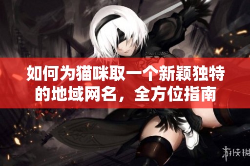 如何为猫咪取一个新颖独特的地域网名，全方位指南