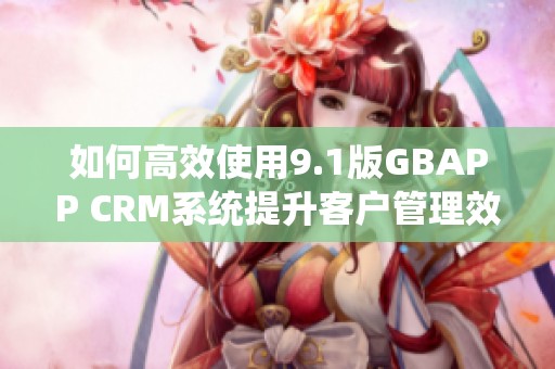 如何高效使用9.1版GBAPP CRM系统提升客户管理效果