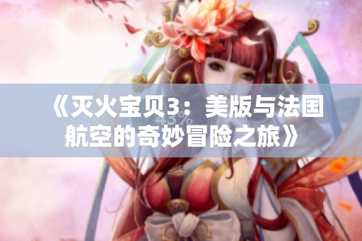 《灭火宝贝3：美版与法国航空的奇妙冒险之旅》