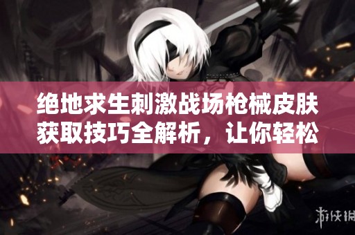 绝地求生刺激战场枪械皮肤获取技巧全解析，让你轻松拥有心仪武器外观！