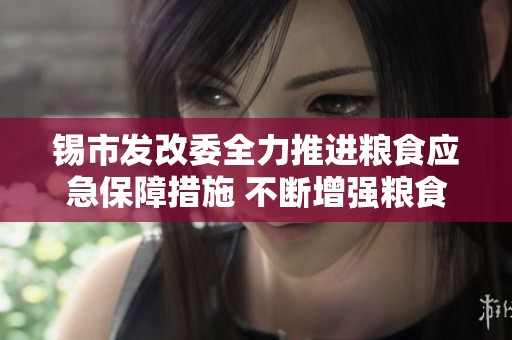 锡市发改委全力推进粮食应急保障措施 不断增强粮食安全保障能力与响应速度