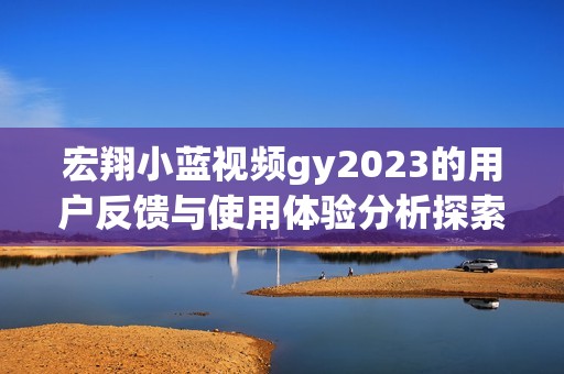 宏翔小蓝视频gy2023的用户反馈与使用体验分析探索