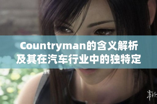 Countryman的含义解析及其在汽车行业中的独特定位与魅力