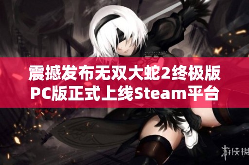震撼发布无双大蛇2终极版PC版正式上线Steam平台，中文支持为玩家带来全新体验