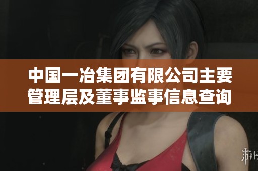 中国一冶集团有限公司主要管理层及董事监事信息查询平台介绍