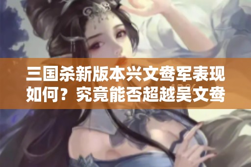 三国杀新版本兴文鸯军表现如何？究竟能否超越吴文鸯的实力争议分析