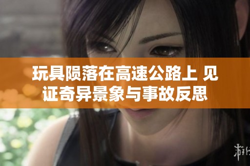 玩具陨落在高速公路上 见证奇异景象与事故反思