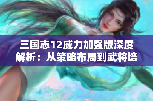 三国志12威力加强版深度解析：从策略布局到武将培养的全面心得分享