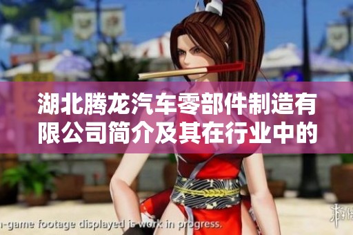湖北腾龙汽车零部件制造有限公司简介及其在行业中的发展动态分析