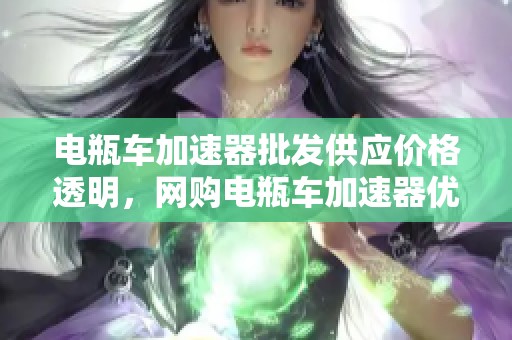 电瓶车加速器批发供应价格透明，网购电瓶车加速器优惠活动全攻略