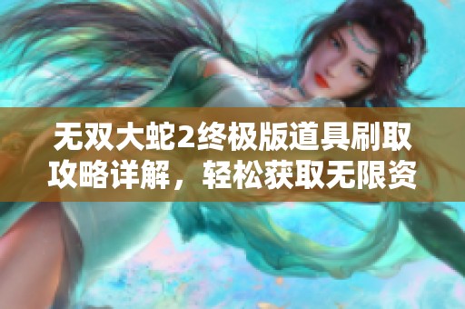 无双大蛇2终极版道具刷取攻略详解，轻松获取无限资源的方法分享