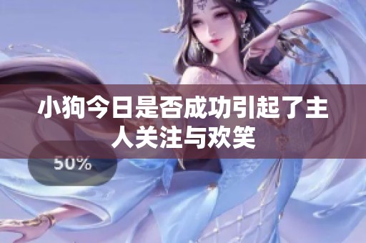 小狗今日是否成功引起了主人关注与欢笑