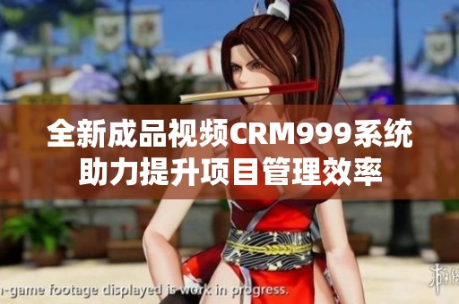 全新成品视频CRM999系统助力提升项目管理效率
