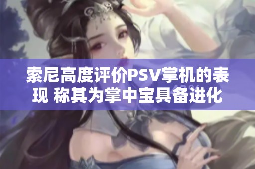 索尼高度评价PSV掌机的表现 称其为掌中宝具备进化型飞跃特性