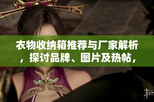 衣物收纳箱推荐与厂家解析，探讨品牌、图片及热帖，助你轻松整理衣物的完美选择