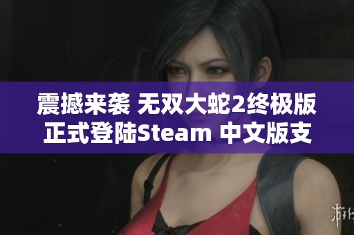 震撼来袭 无双大蛇2终极版正式登陆Steam 中文版支持引爆全新游戏体验
