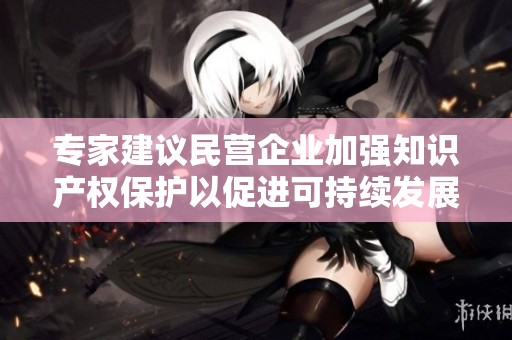 专家建议民营企业加强知识产权保护以促进可持续发展和竞争力提升