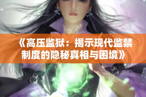 《高压监狱：揭示现代监禁制度的隐秘真相与困境》