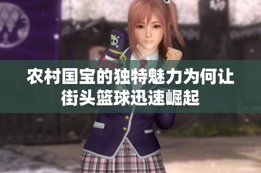 农村国宝的独特魅力为何让街头篮球迅速崛起