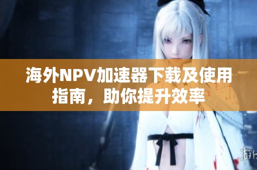 海外NPV加速器下载及使用指南，助你提升效率